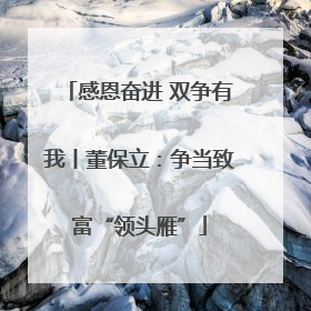 感恩奋进 双争有我丨董保立：争当致富“领头雁”